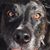 Michele Wright's profile image