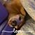 Faith Humeston's profile image