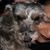 Maryann Palacio's profile image