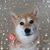 Tammy Kosko-Bozman's profile image