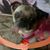 Donna Thompson's profile image