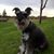 Jane Haggstrom Hall's profile image