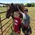 Shay Laughlin Teer's profile image