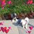 Kathy Haji's profile image