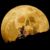 Lance Holst's profile image