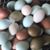 Dawn Croone's profile image