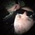 Molina Krz's profile image