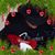 Lee Begay's profile image