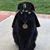 Grant Doan's profile image