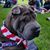 Jacki Silverman-Miniaci's profile image