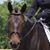 Sharon Malmberg's profile image