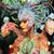 Chanc Berndt's profile image