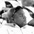 Rod Mccoy's profile image
