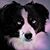 Brenda Lee Waite's profile image