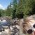 Laurie Tazelaar-Williams's profile image