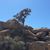 Jamie Borgren Simonette's profile image