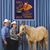 Anita Clanton Westfall's profile image