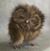 Linda Latka Fields Teets's profile image