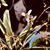 Rhonda Arnold's profile image