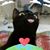 Lynn Cook's profile image