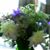 Elizabeth Marie Motz's profile image