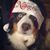 Tim Sterrett's profile image