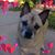 Tami Kuhn's profile image