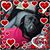 Kim Davis Wengerd's profile image