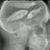 Rick Wood's profile image