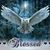 Theresa Donbroski Johnson's profile image