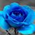 Patricia A Green's profile image