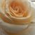 Laurie Stewart Easterling's profile image