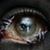 Darren Dalton's profile image