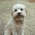 Kimberly Kerr's profile image