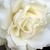 Maureen Mitchell's profile image