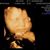 Jennifer Hull-Purrington's profile image