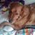 Saundra Andre Emerine's profile image