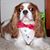 Patti Insalaco's profile image