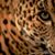 Bobbie Hitson's profile image