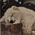 Vivien Ouyang's profile image