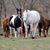 Christine Malits Cafazzo's profile image