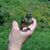Sylvia Chapman's profile image