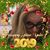 Kelly Hubbard Holland's profile image