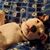 Kristy Kalahan's profile image