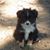 Donna Cagle's profile image