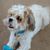 Kristi Herner's profile image