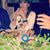 Sandra Seplow Ginsberg's profile image