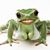 Pam Regalado Snyder's profile image
