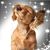 Lauren Raburn's profile image