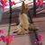 Sandy Wallace Wilson's profile image